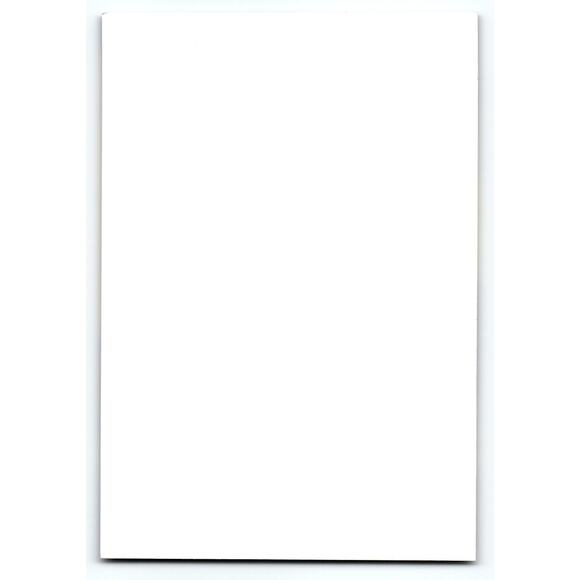 Vintage Halloween Photochrome Postcard of Gothic Twins with Skeleton - Picture 2 of 2